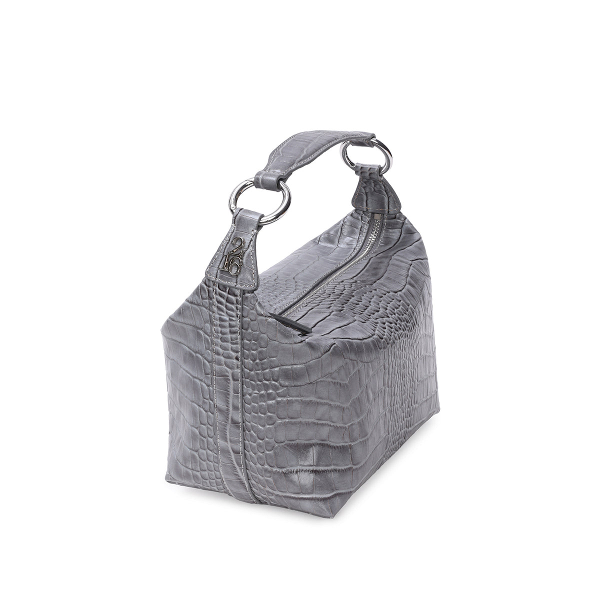 SUE - Silver Croc